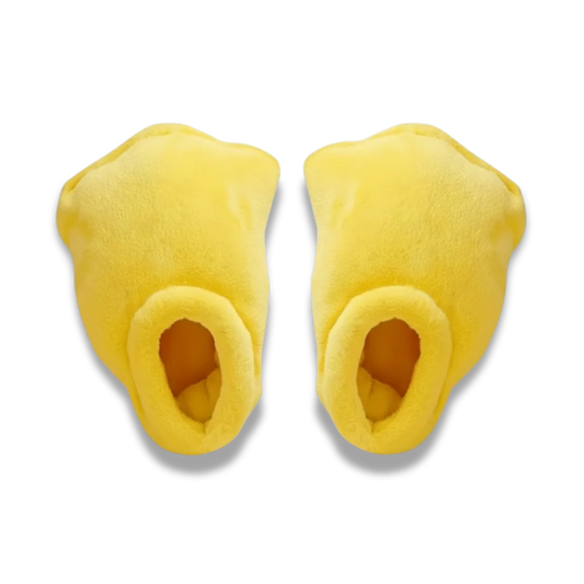 Duck Slippers